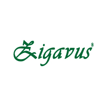 Zigavus