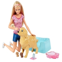 Mattel Barbie ve Köpek Ailesi FDD43