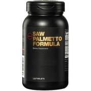 GNC Mens Saw Palmetto Formula - 120 Tablet