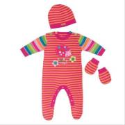 Hedgehog Dsntrtlm Bere  0 Ay