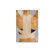 Luxor 308 Posturex Korse no: L