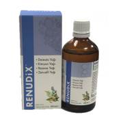 Renudix Şurup 100 ml