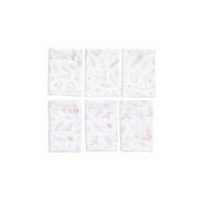 Funna Baby 9673 Garden 6Lı Ağız Bezi - 30x30