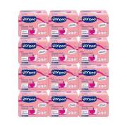 Canped Mesane Pedi Ultra Large Büyük 10 lu 12 adet