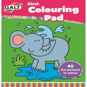 Galt İlk Boyama 3+ Yaş