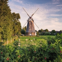 Ravensburger 1500 Parça Değirmen Puzzle 162239