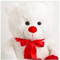 Peluş Kalpli Ayı 50 Cm 