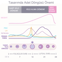 Mothersmart Femometer Butterfly Kadınlar İçin Akıllı Vücut Tartısı