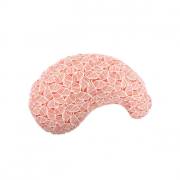 Mycey Hamile Bölgesel Destek Yastığı - Leafblade