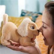 Hasbro Fur Real Minik Dostlarım B9062