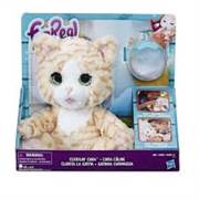 FR UYKUCU KEDİM CARA