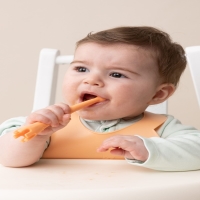 Wee Baby 924 Prime Çok Amaçlı Kaşık Turuncu