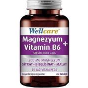 Wellcare Magnezyum + Vitamin B6 Takviye Edici Gıda 30 Tablet