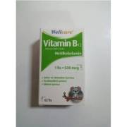 Wellcare Vitamin B12 500mcg Dil Altı Sprey 5ml