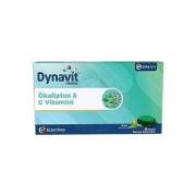 Dynavit Herbal Mentol & Okaliptus Pastil 16lı