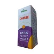 Hünnap OHBEE Cistus Propolis Karadut Sprey 30 ml