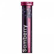 Samberry Takviye Edici Gıda 20 Tablet