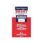 Sorvagen Smart Sitikolin DHA Omega 3 ve B12 30 Kapsül