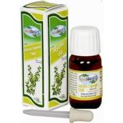 Ecodab Mersin Yaprağı Yağı 20ml.