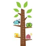 Mycey Boy Ölçer - Ağaç