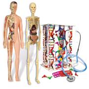 Clementoni Bilim Seti - İnsan Vücudu 64234