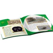 Furkan LC Botanik Laboratuvar FR56897/50178