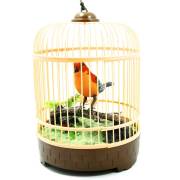Vardem Kutulu Kafesli Büyük Kuş (Müzik ve Kuş Sesli) 214606
