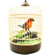 Vardem Kutulu Kafesli Büyük Kuş (Müzik ve Kuş Sesli) 214606