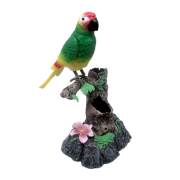 Vardem Kut. Kalemlikli Papağan, Kayıt Özellikli HL505GR/HR