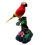 Vardem Kut. Kalemlikli Papağan, Kayıt Özellikli HL505GR/HR