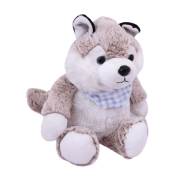 Vardem Peluş 2 Asorti Husky PTDC6083M2/H2