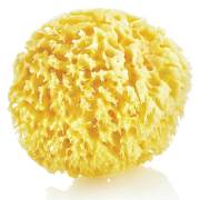 Babyjem Doğal Deniz Süngeri